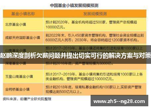 赵鹏深度剖析欠薪问题并提出切实可行的解决方案与对策